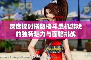深度探讨横版格斗单机游戏的独特魅力与面临挑战