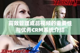 高效管理成品视频的重要性与优秀CRM系统介绍