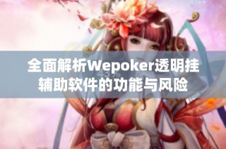 全面解析Wepoker透明挂辅助软件的功能与风险