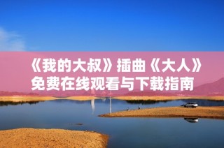 《我的大叔》插曲《大人》免费在线观看与下载指南