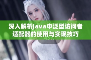 深入解析Java中泛型访问者适配器的使用与实现技巧