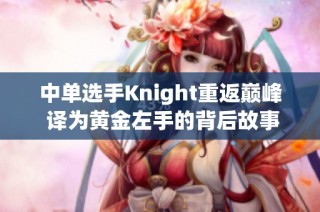 中单选手Knight重返巅峰 译为黄金左手的背后故事