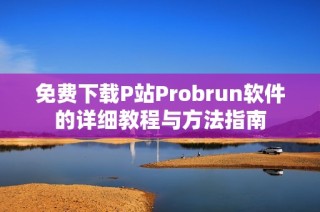 免费下载P站Probrun软件的详细教程与方法指南