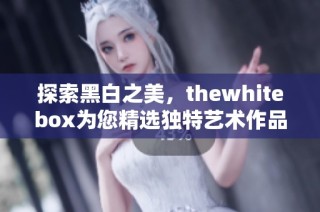 探索黑白之美，thewhitebox为您精选独特艺术作品