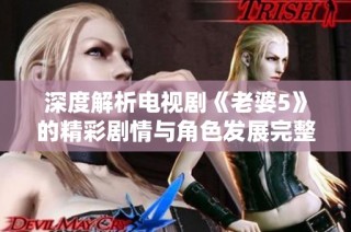 深度解析电视剧《老婆5》的精彩剧情与角色发展完整版