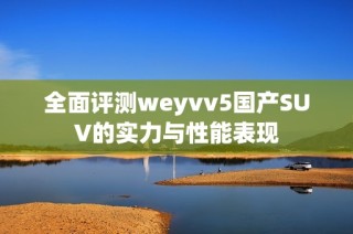 全面评测weyvv5国产SUV的实力与性能表现