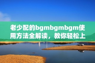 老少配的bgmbgmbgm使用方法全解读，教你轻松上手