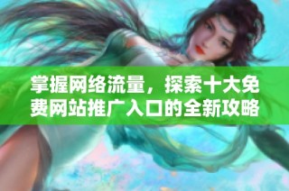 掌握网络流量，探索十大免费网站推广入口的全新攻略