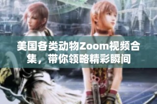 美国各类动物Zoom视频合集，带你领略精彩瞬间