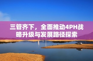 三管齐下，全面推动4PH战略升级与发展路径探索