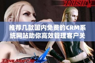 推荐几款国内免费的CRM系统网站助你高效管理客户关系