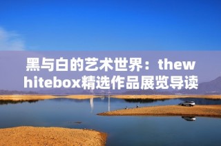 黑与白的艺术世界：thewhitebox精选作品展览导读