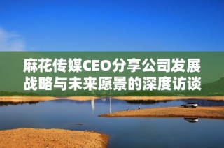 麻花传媒CEO分享公司发展战略与未来愿景的深度访谈