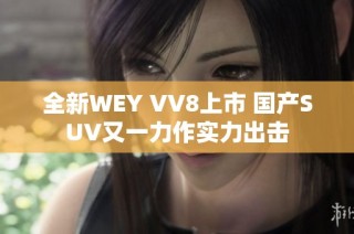 全新WEY VV8上市 国产SUV又一力作实力出击