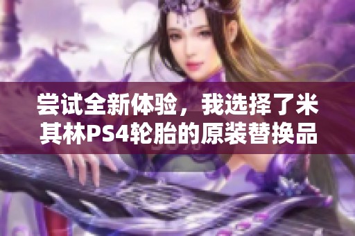 尝试全新体验，我选择了米其林PS4轮胎的原装替换品