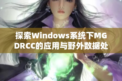 探索Windows系统下MGDRCC的应用与野外数据处理方法