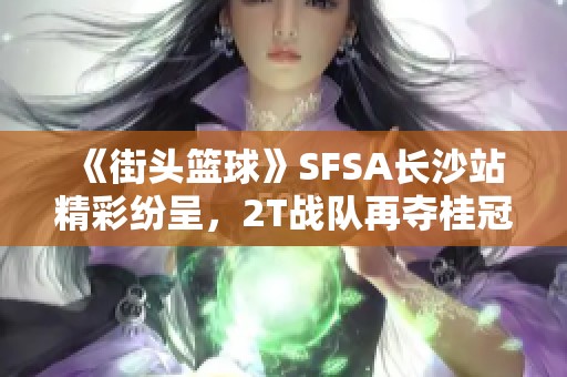 《街头篮球》SFSA长沙站精彩纷呈，2T战队再夺桂冠！