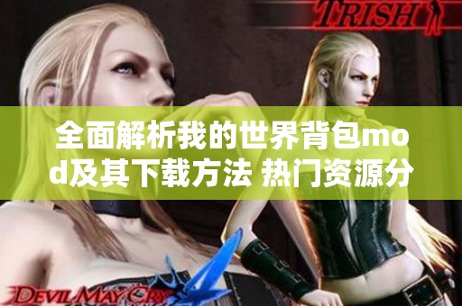 全面解析我的世界背包mod及其下载方法 热门资源分享