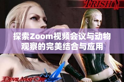 探索Zoom视频会议与动物观察的完美结合与应用