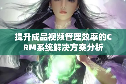 提升成品视频管理效率的CRM系统解决方案分析