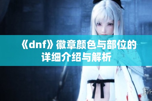 《dnf》徽章颜色与部位的详细介绍与解析