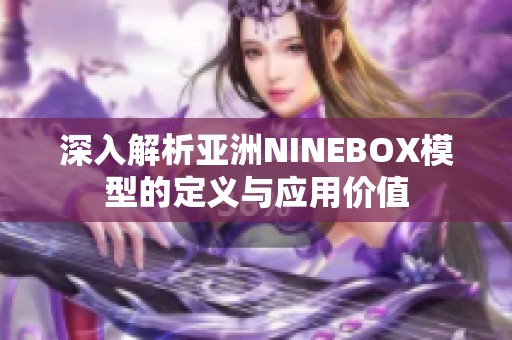 深入解析亚洲NINEBOX模型的定义与应用价值