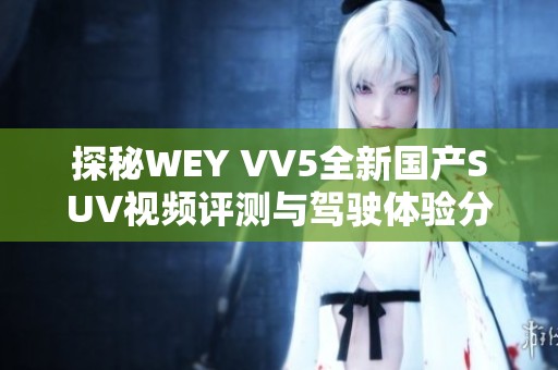 探秘WEY VV5全新国产SUV视频评测与驾驶体验分享