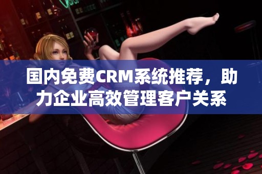 国内免费CRM系统推荐，助力企业高效管理客户关系