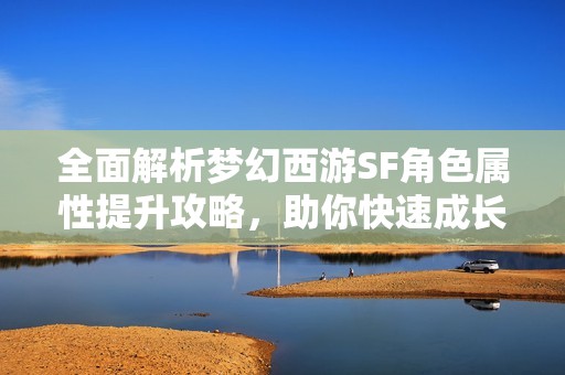 全面解析梦幻西游SF角色属性提升攻略，助你快速成长！