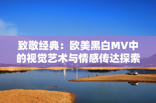 致敬经典：欧美黑白MV中的视觉艺术与情感传达探索