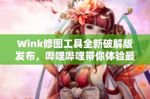 Wink修图工具全新破解版发布，哔哩哔哩带你体验最新功能