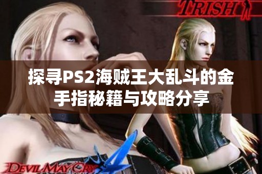 探寻PS2海贼王大乱斗的金手指秘籍与攻略分享