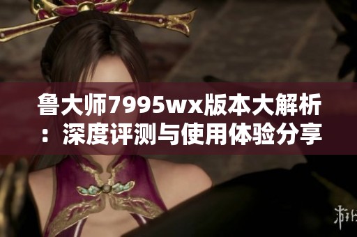 鲁大师7995wx版本大解析：深度评测与使用体验分享