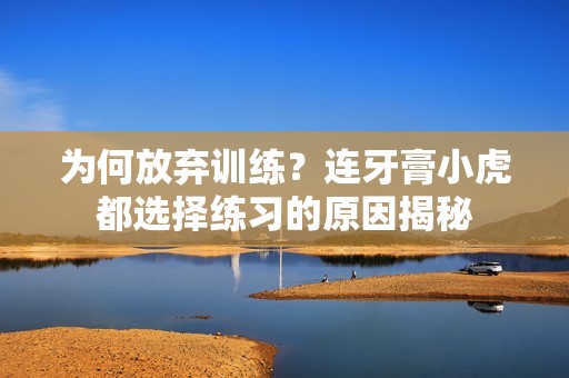 为何放弃训练？连牙膏小虎都选择练习的原因揭秘