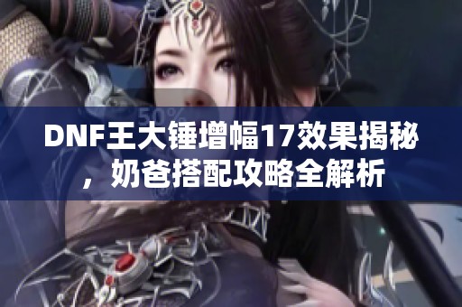 DNF王大锤增幅17效果揭秘，奶爸搭配攻略全解析