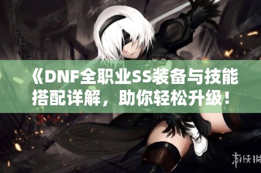 《DNF全职业SS装备与技能搭配详解，助你轻松升级！》