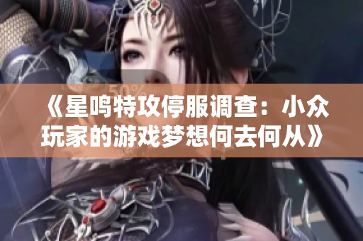 《星鸣特攻停服调查：小众玩家的游戏梦想何去何从》